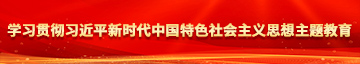 日比网69学习贯彻习近平新时代中国特色社会主义思想主题教育