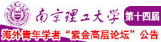 啊啊啊啊啊啊慢点插视频视频南京理工大学第十四届海外青年学者紫金论坛诚邀海内外英才！